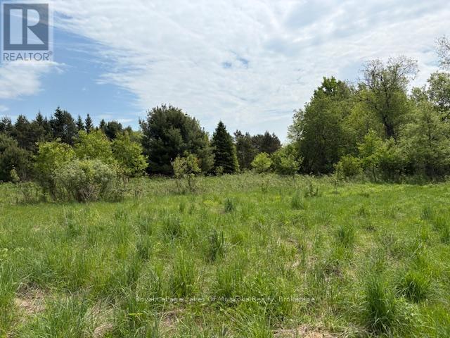 351 Ravenscliffe Road, Huntsville, Ontario  P1H 1L6 - Photo 22 - X12185211