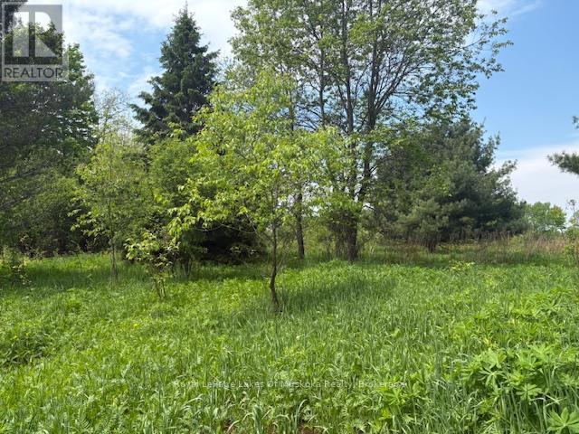 351 Ravenscliffe Road, Huntsville, Ontario  P1H 1L6 - Photo 3 - X12185211