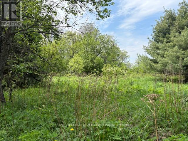 351 Ravenscliffe Road, Huntsville, Ontario  P1H 1L6 - Photo 4 - X12185211