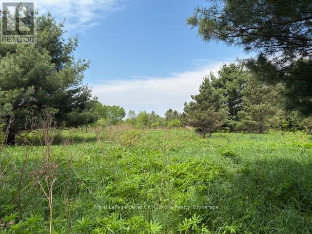 351 Ravenscliffe Road, Huntsville, Ontario  P1H 1L6 - Photo 5 - X12185211