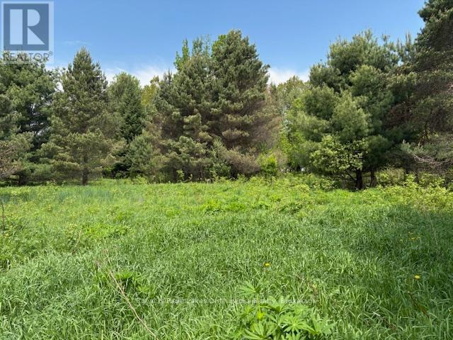 351 Ravenscliffe Road, Huntsville, Ontario  P1H 1L6 - Photo 6 - X12185211