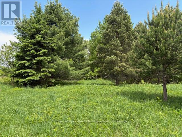 351 Ravenscliffe Road, Huntsville, Ontario  P1H 1L6 - Photo 9 - X12185211