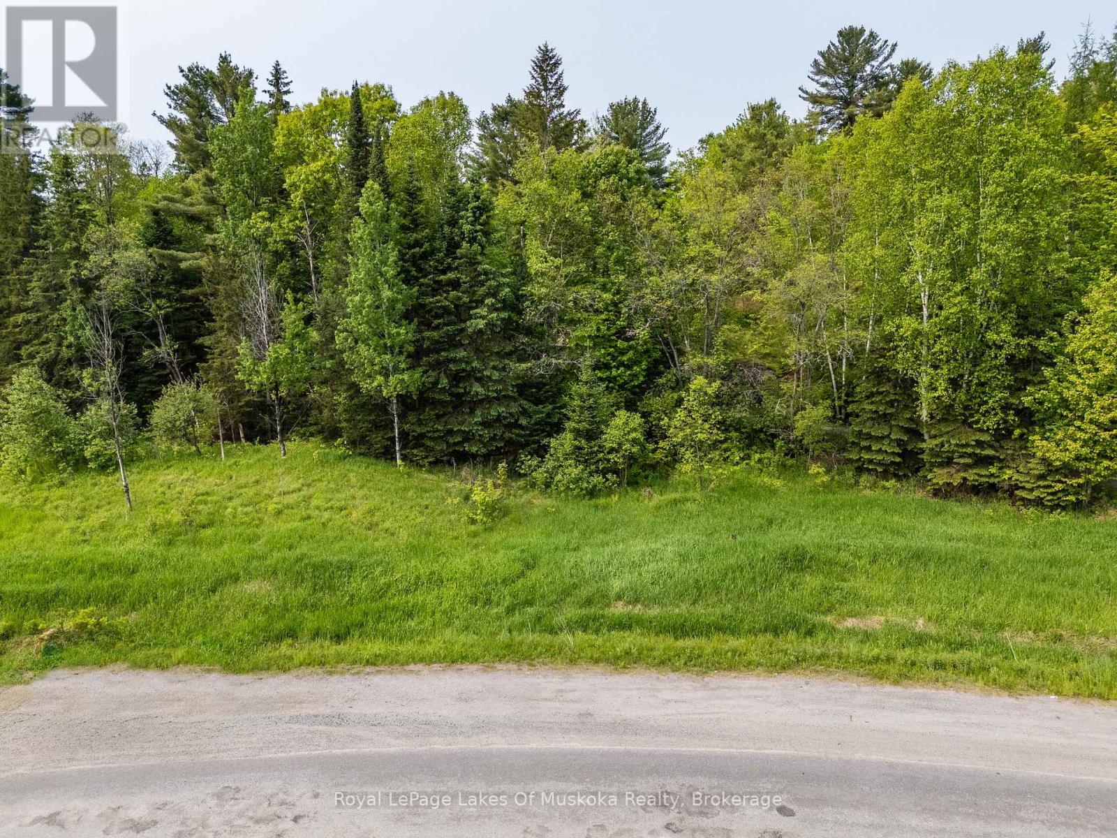 22 Allensville Road, Huntsville, Ontario  P0B 1M0 - Photo 5 - X12202484