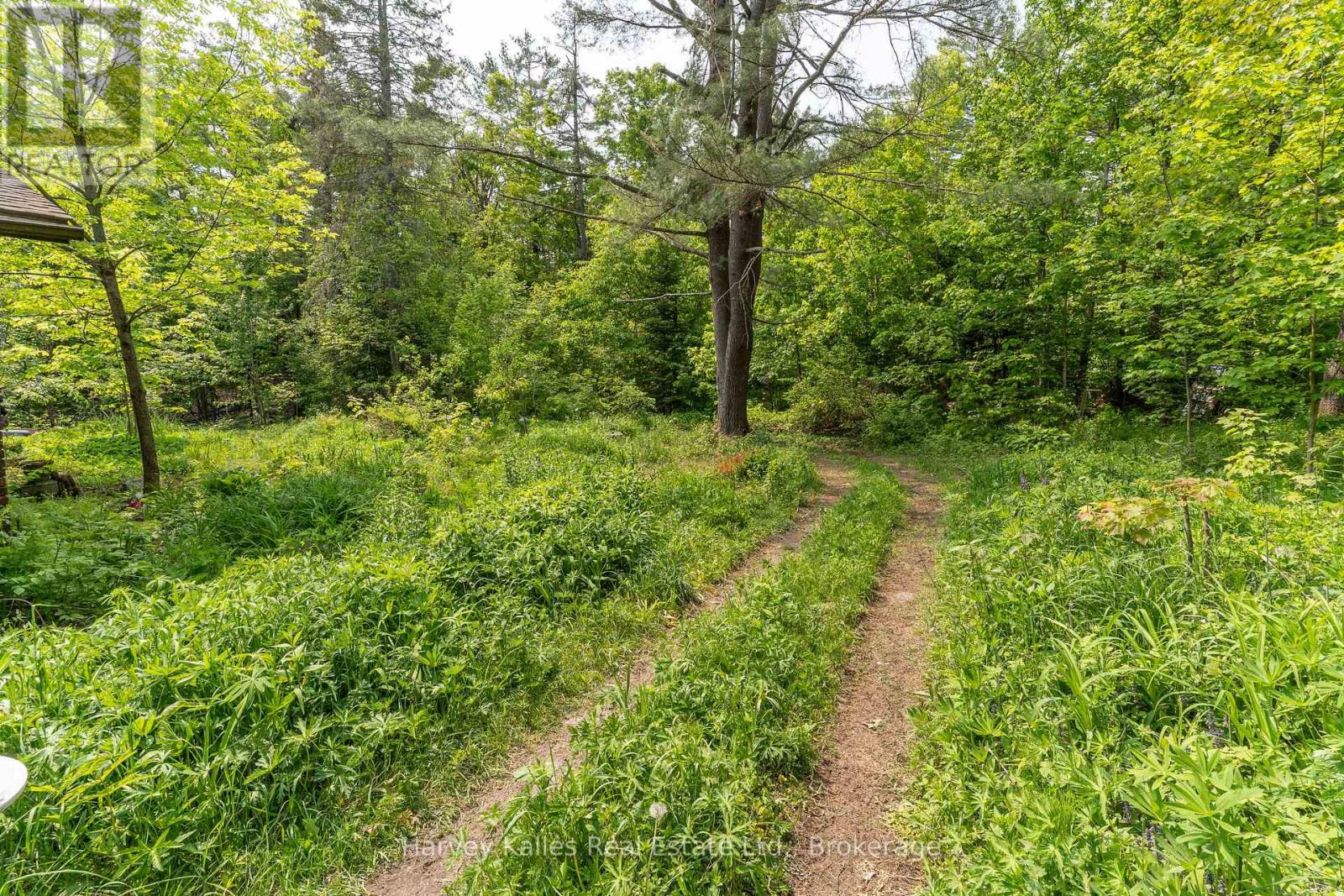 1099 Peterson Road, Bracebridge, Ontario  P1L 1X1 - Photo 27 - X12205588