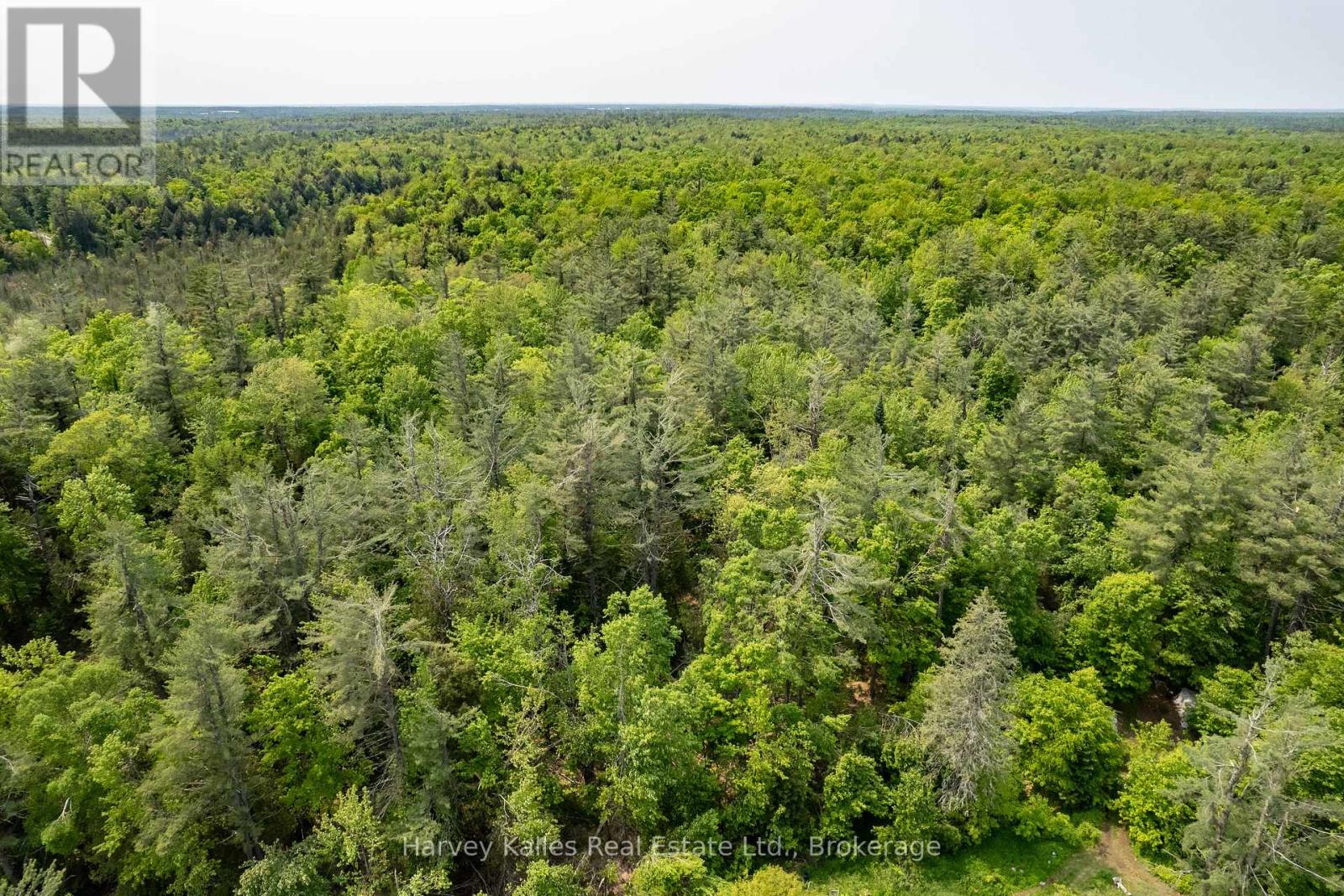 1099 Peterson Road, Bracebridge, Ontario  P1L 1X1 - Photo 34 - X12205588