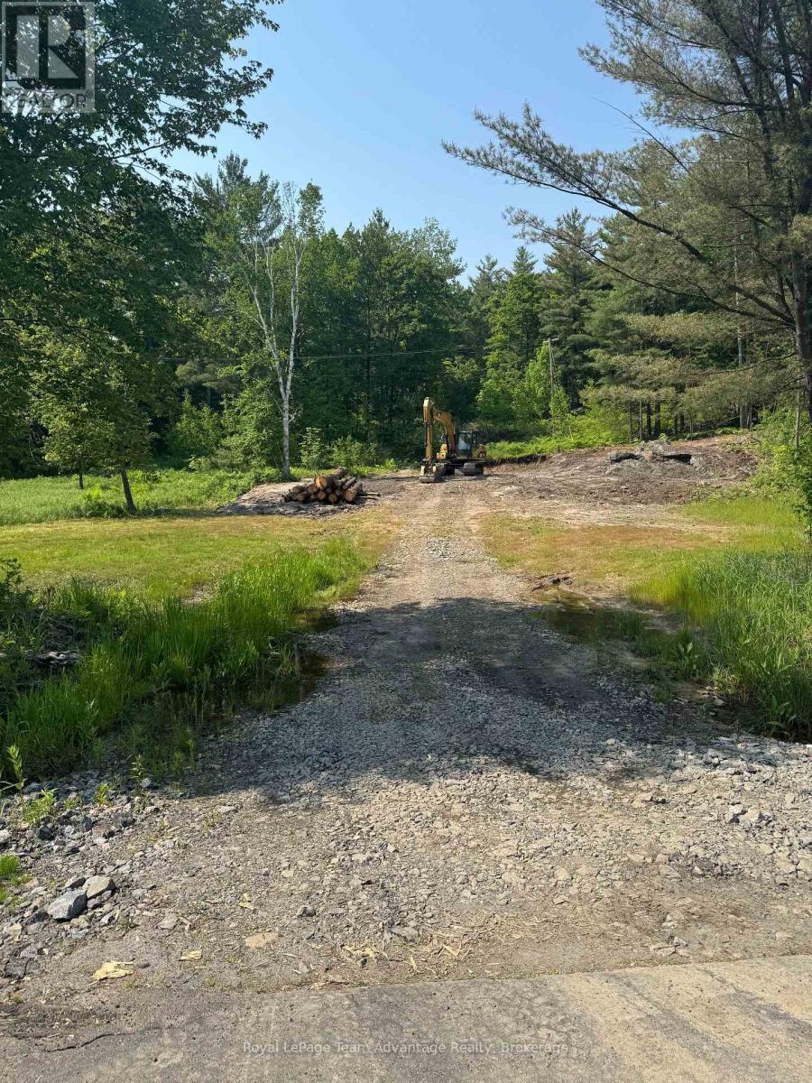 98 Louisa Street, Parry Sound, Ontario  P2A 3C1 - Photo 1 - X12209717