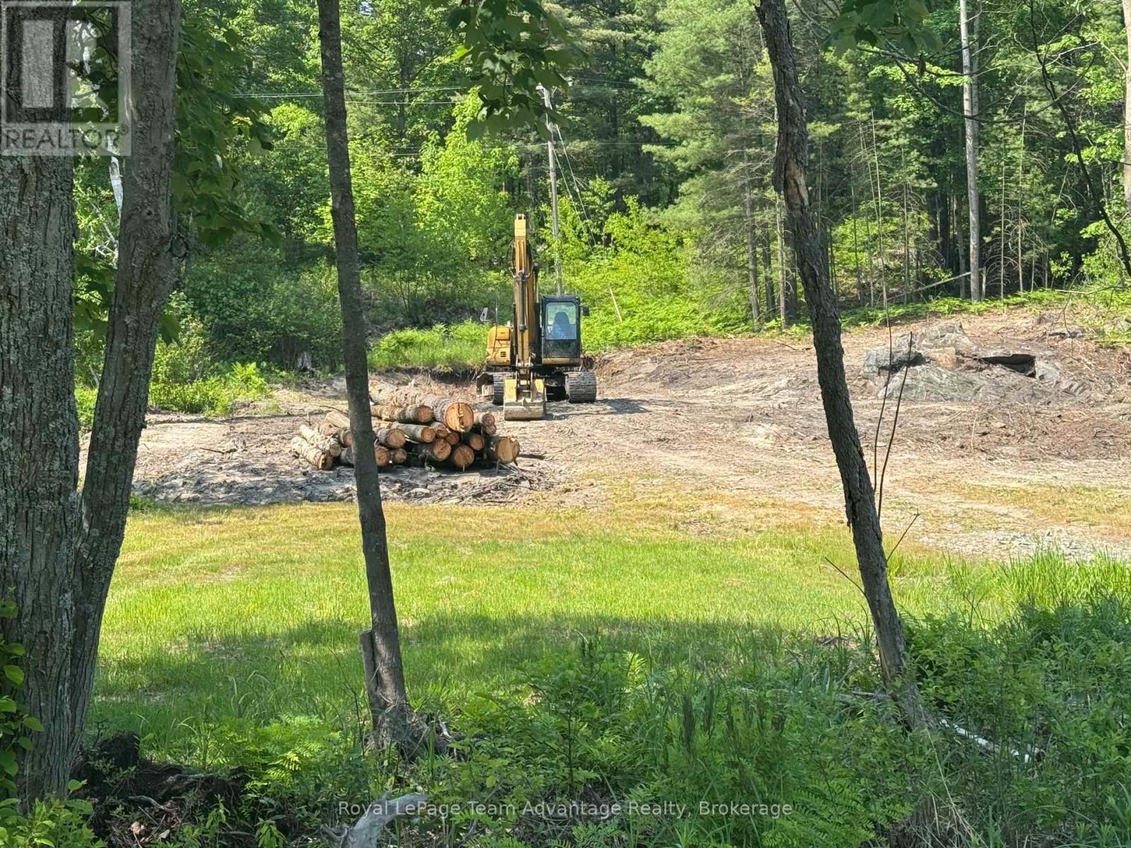 98 Louisa Street, Parry Sound, Ontario  P2A 3C1 - Photo 3 - X12209717