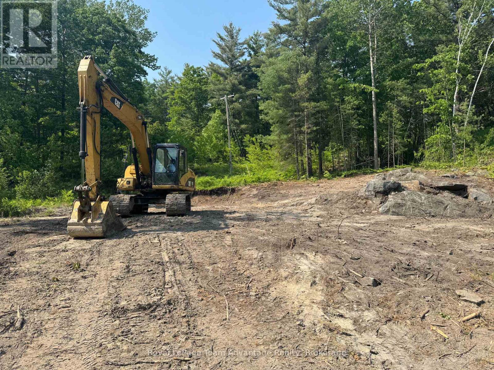 98 Louisa Street, Parry Sound, Ontario  P2A 3C1 - Photo 6 - X12209717