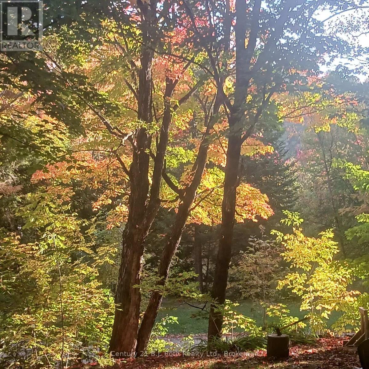 767 Poplar Crescent, Bracebridge, Ontario  P1L 1W9 - Photo 42 - X12237559