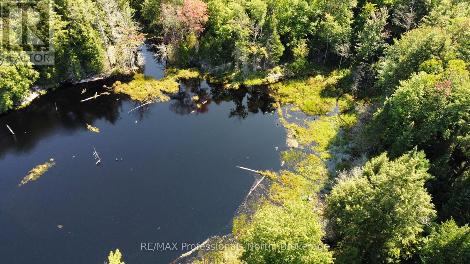 Lot 32 Concession 5, Bracebridge, Ontario  P1L 1X1 - Photo 26 - X12252925