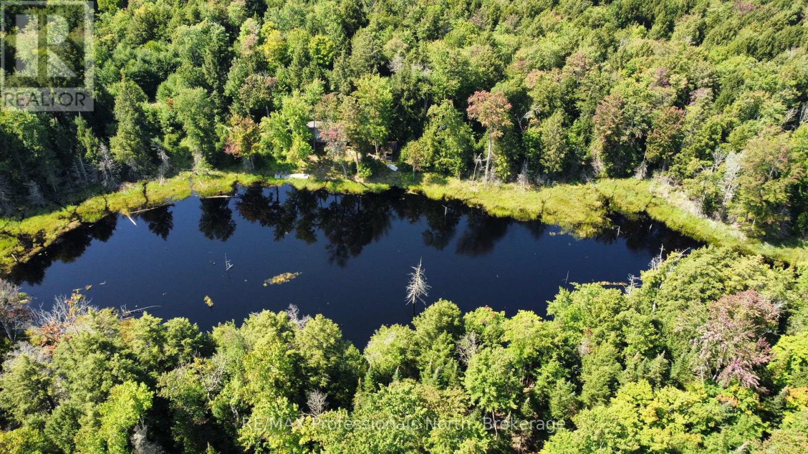 Lot 32 Concession 5, Bracebridge, Ontario  P1L 1X1 - Photo 30 - X12252925