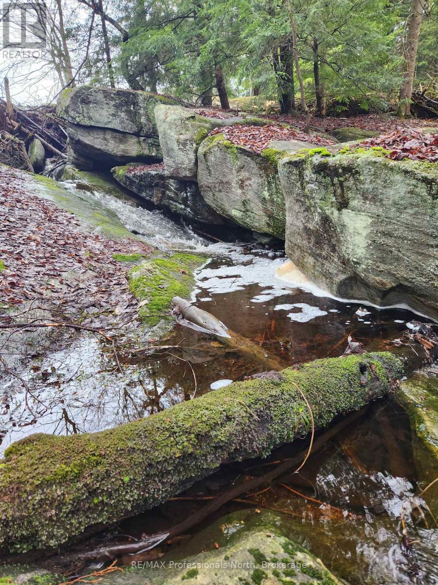 Lot 32 Concession 5, Bracebridge, Ontario  P1L 1X1 - Photo 35 - X12252925