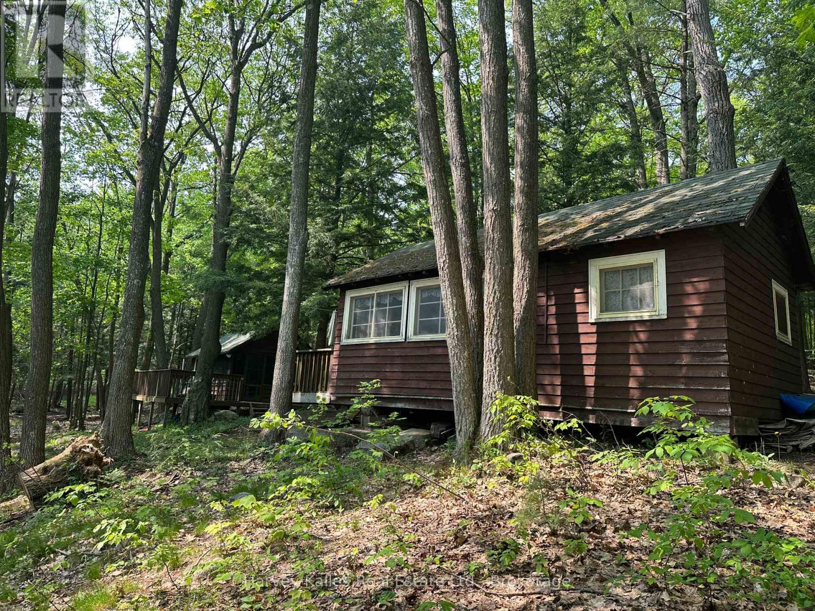 4 - 1254 Barlochan Road, Muskoka Lakes, Ontario  P1P 1R2 - Photo 1 - X12264878