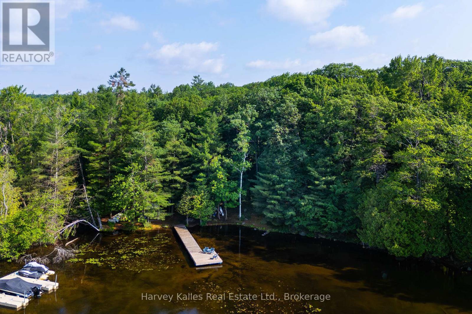 4 - 1254 Barlochan Road, Muskoka Lakes, Ontario  P1P 1R2 - Photo 18 - X12264878
