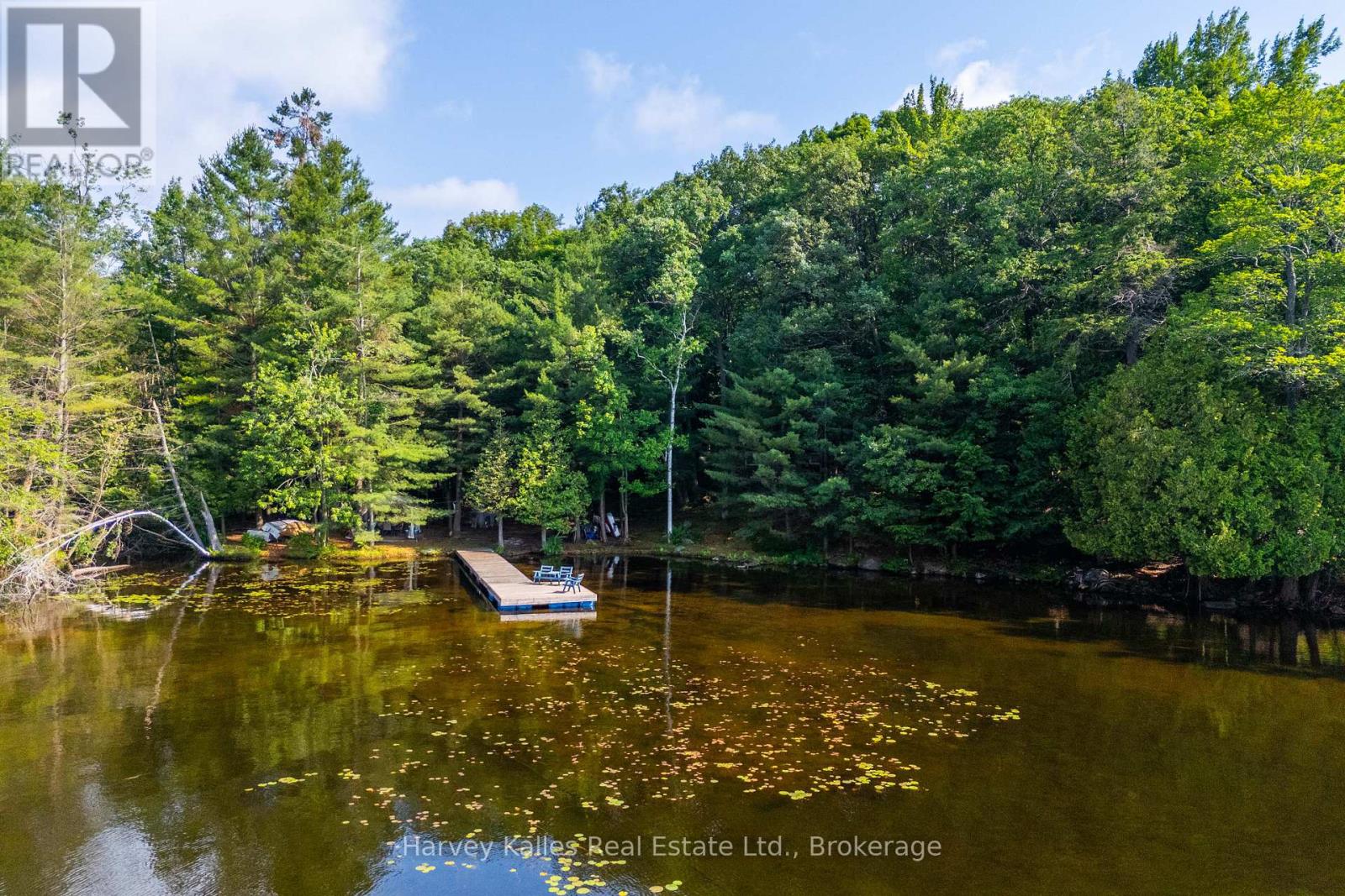 4 - 1254 Barlochan Road, Muskoka Lakes, Ontario  P1P 1R2 - Photo 21 - X12264878