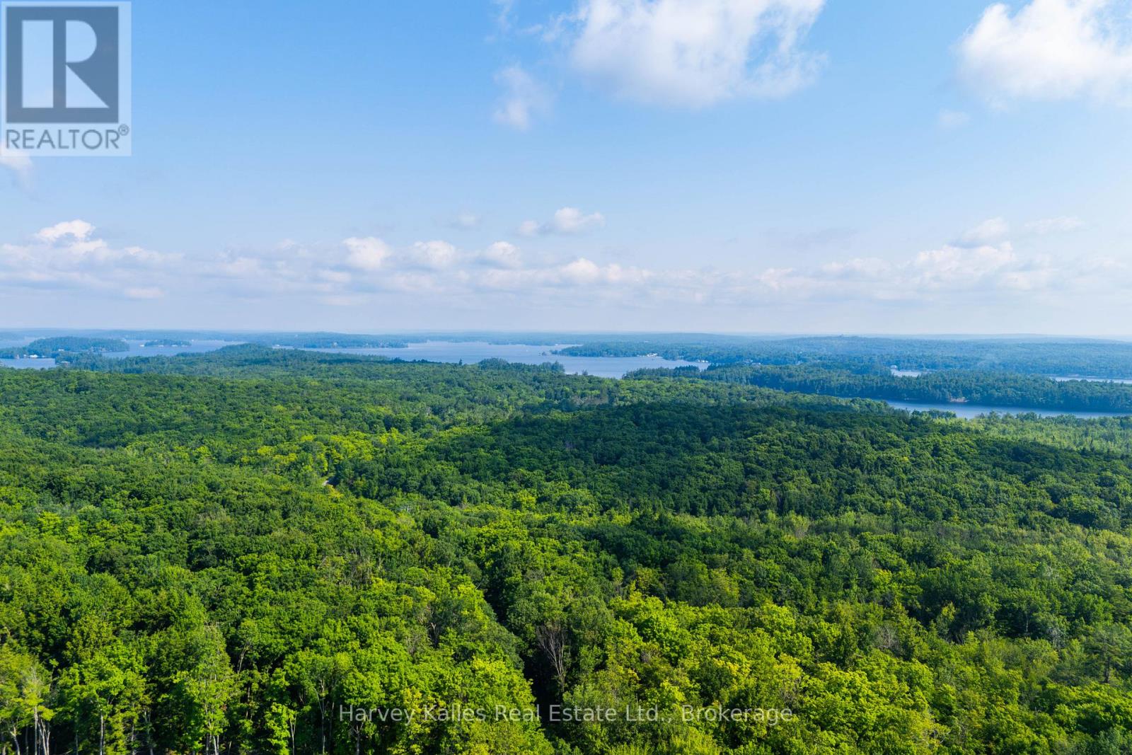 4 - 1254 Barlochan Road, Muskoka Lakes, Ontario  P1P 1R2 - Photo 32 - X12264878
