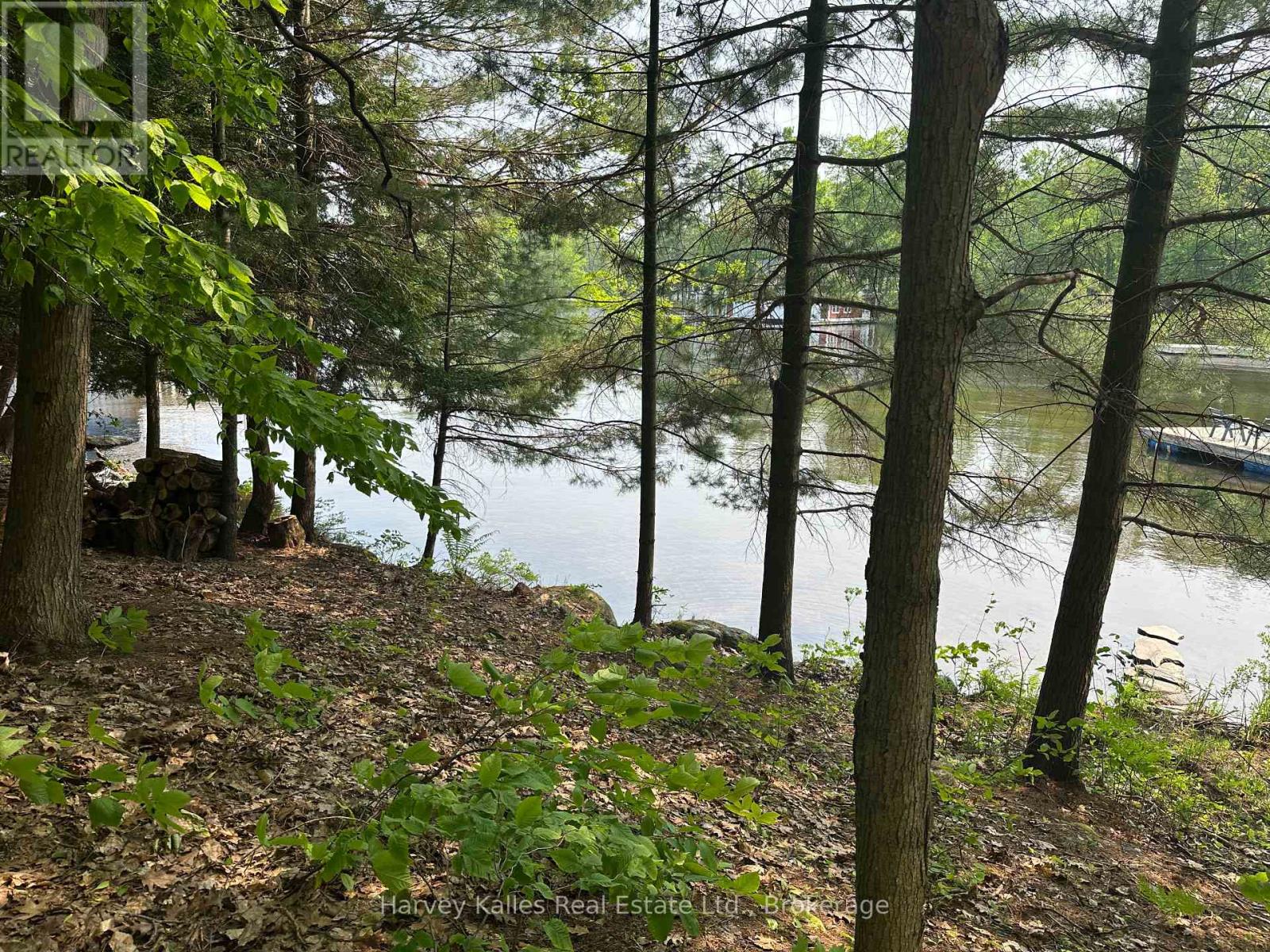 4 - 1254 Barlochan Road, Muskoka Lakes, Ontario  P1P 1R2 - Photo 35 - X12264878