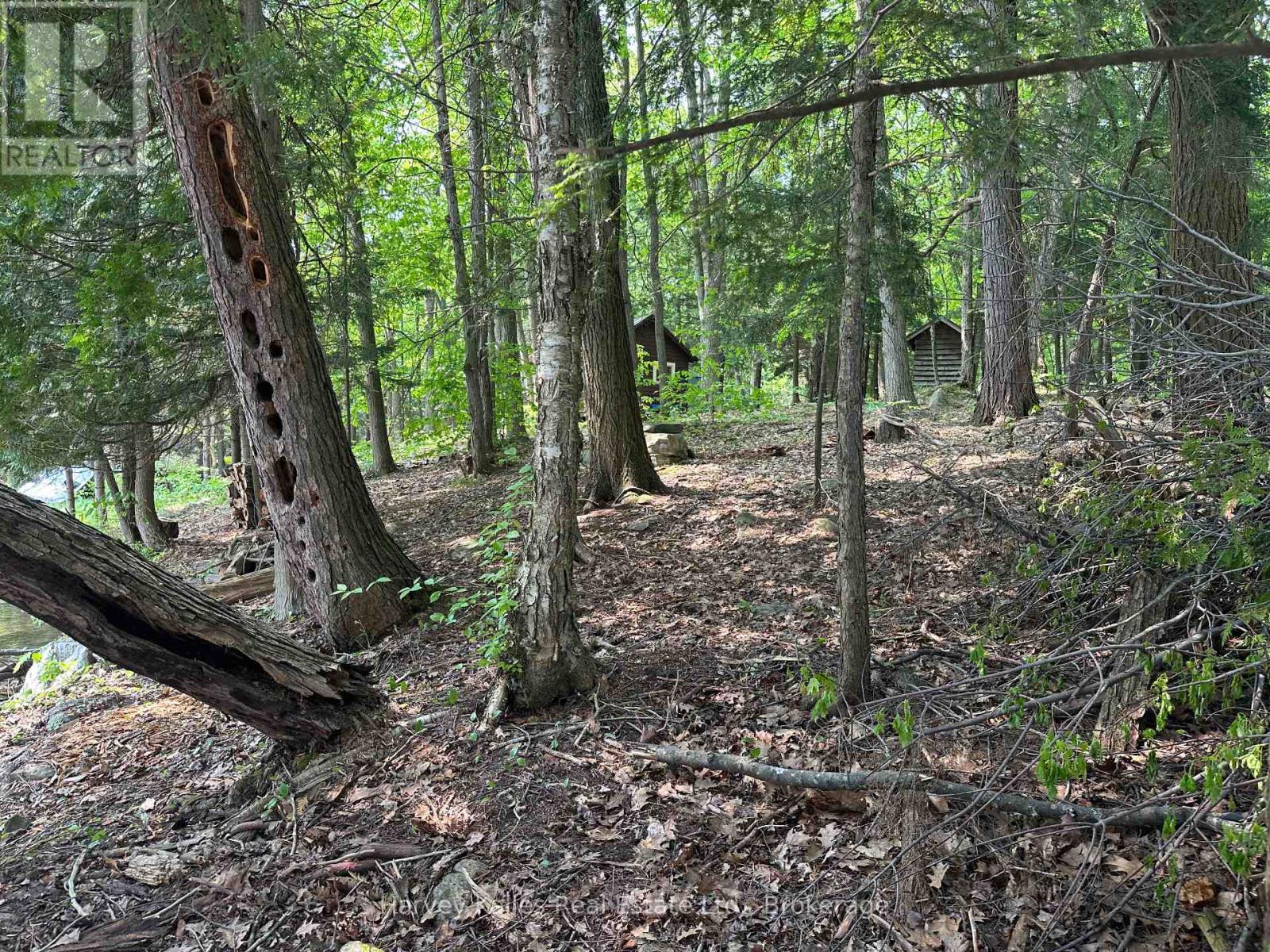 4 - 1254 Barlochan Road, Muskoka Lakes, Ontario  P1P 1R2 - Photo 36 - X12264878
