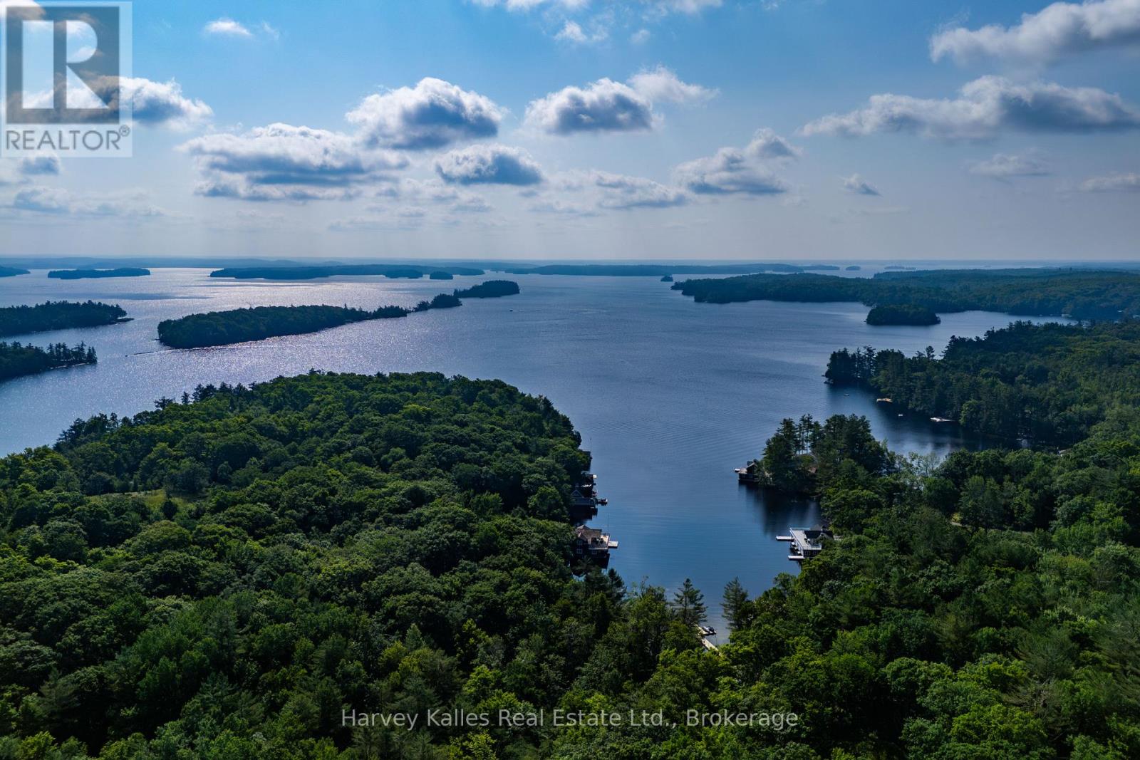 4 - 1254 Barlochan Road, Muskoka Lakes, Ontario  P1P 1R2 - Photo 4 - X12264878