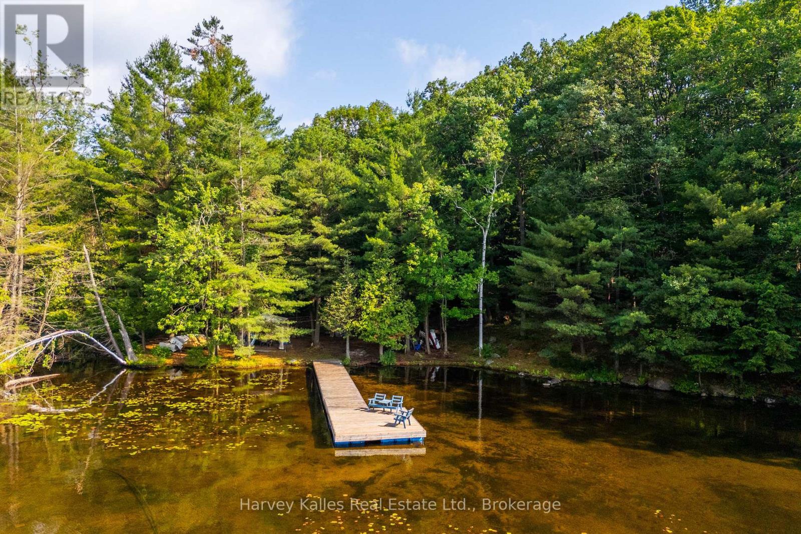 4 - 1254 Barlochan Road, Muskoka Lakes, Ontario  P1P 1R2 - Photo 6 - X12264878