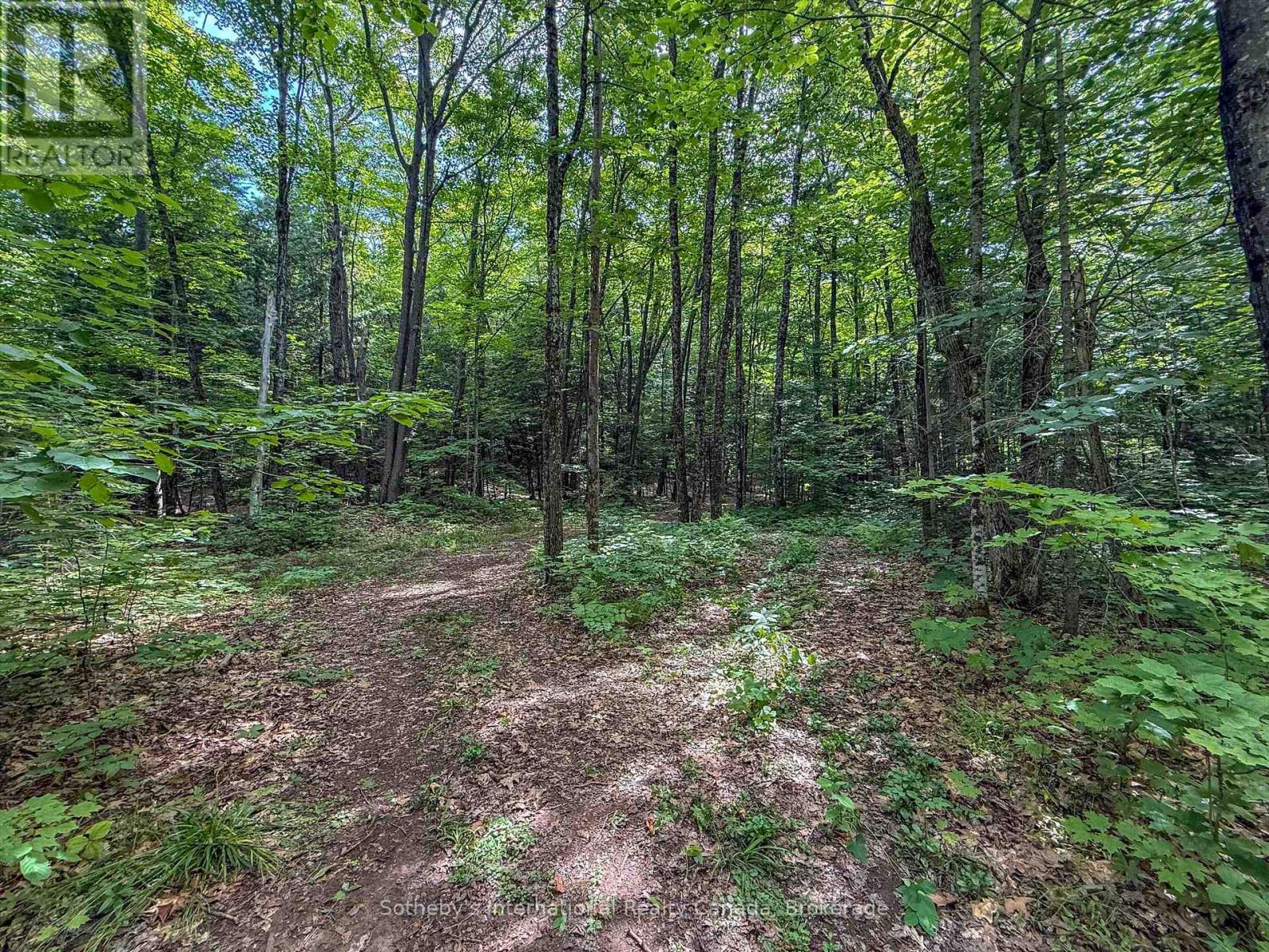 1098 Old Hwy 117, Lake Of Bays, Ontario  P0B 1A0 - Photo 12 - X12275009