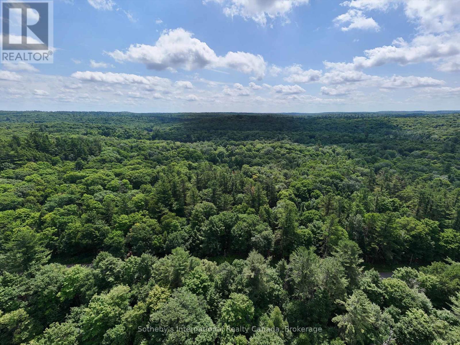 1098 Old Hwy 117, Lake Of Bays, Ontario  P0B 1A0 - Photo 3 - X12275009