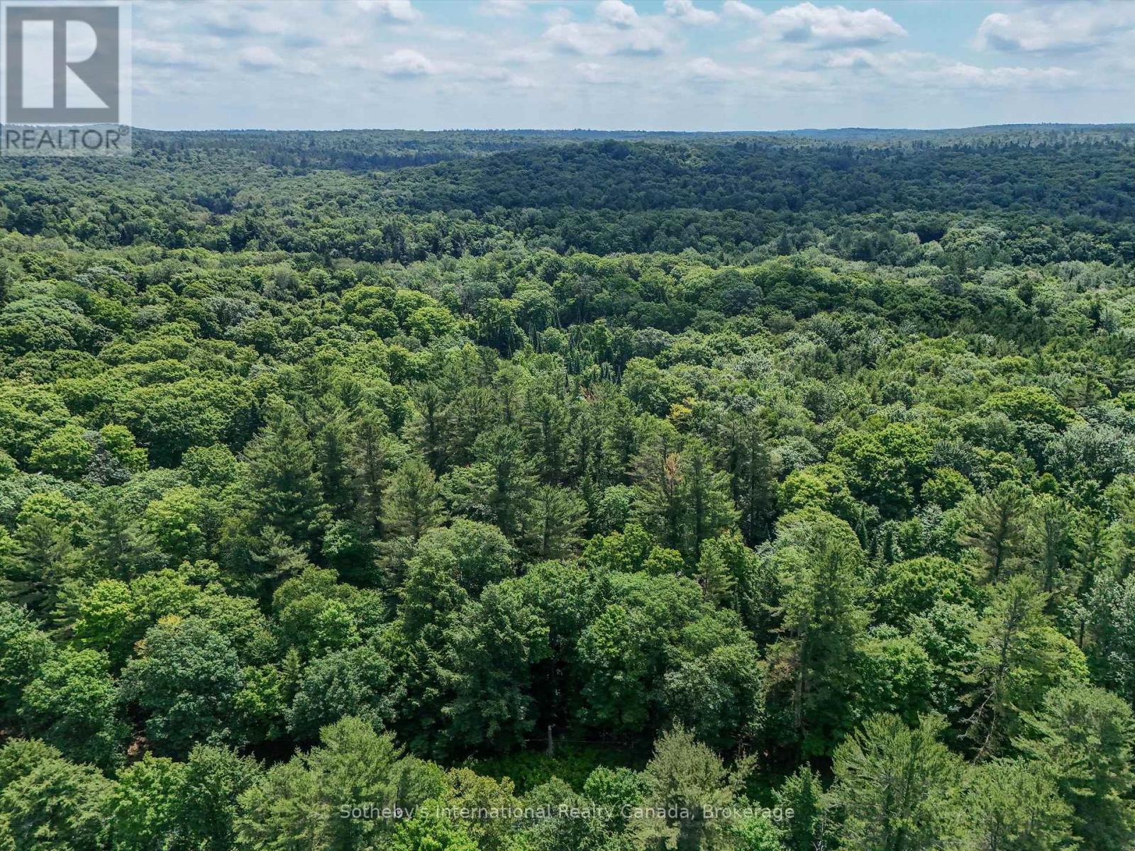 1098 Old Hwy 117, Lake Of Bays, Ontario  P0B 1A0 - Photo 4 - X12275009