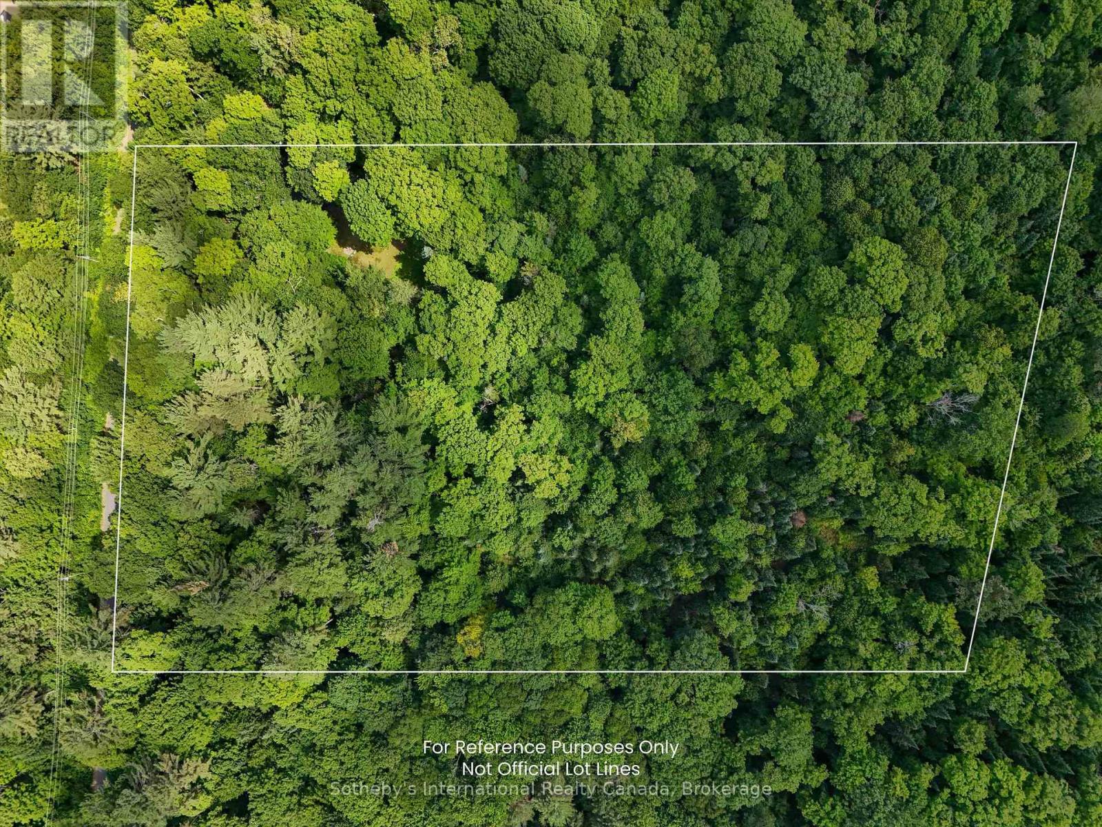 1098 Old Hwy 117, Lake Of Bays, Ontario  P0B 1A0 - Photo 5 - X12275009