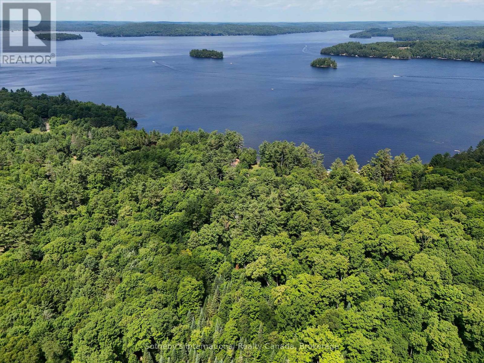 1098 Old Hwy 117, Lake Of Bays, Ontario  P0B 1A0 - Photo 7 - X12275009