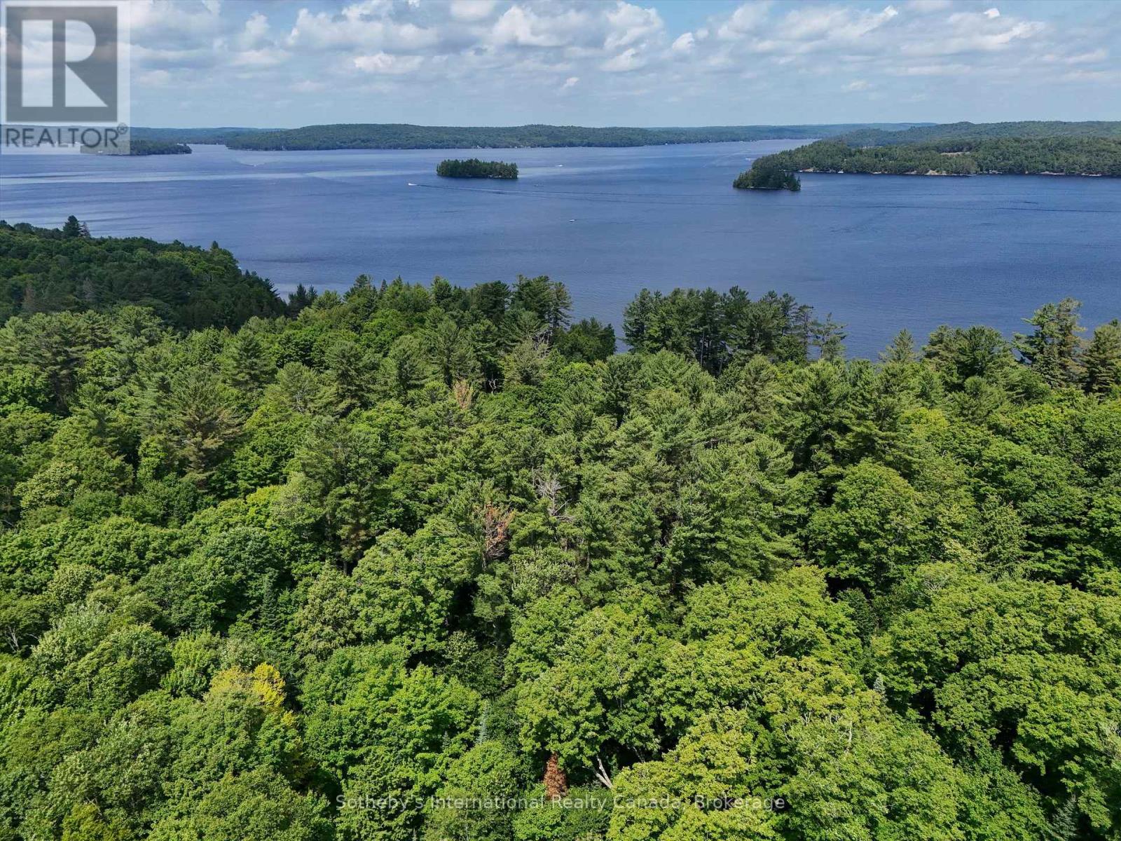 1098 Old Hwy 117, Lake Of Bays, Ontario  P0B 1A0 - Photo 8 - X12275009