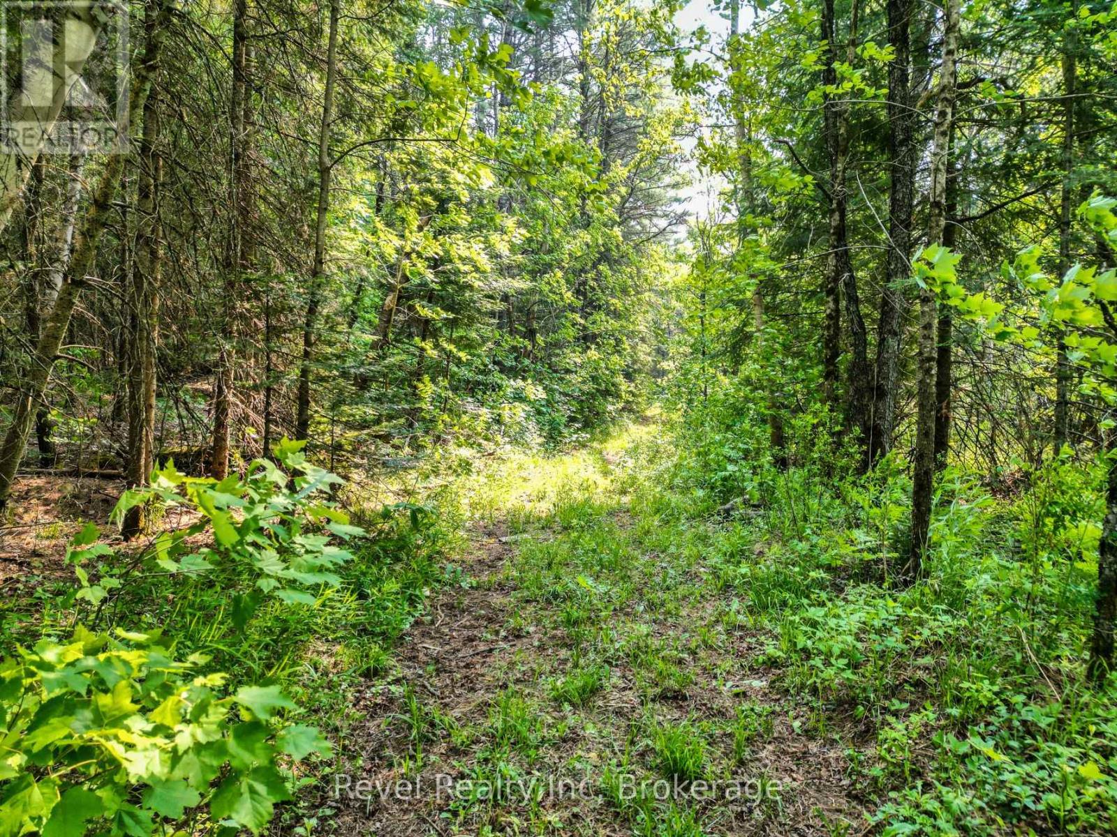 Lot 2 Old Victoria Road, Bracebridge, Ontario  P1L 1X1 - Photo 3 - X12284845