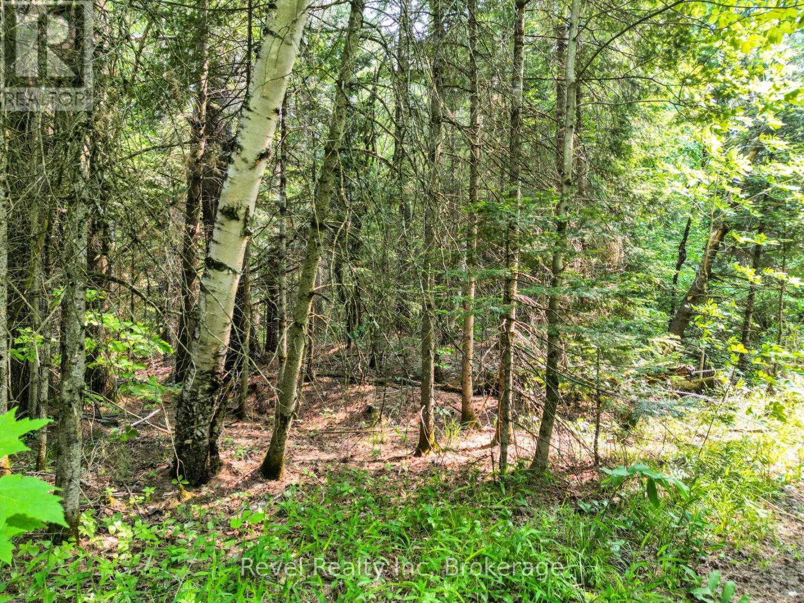 Lot 2 Old Victoria Road, Bracebridge, Ontario  P1L 1X1 - Photo 4 - X12284845