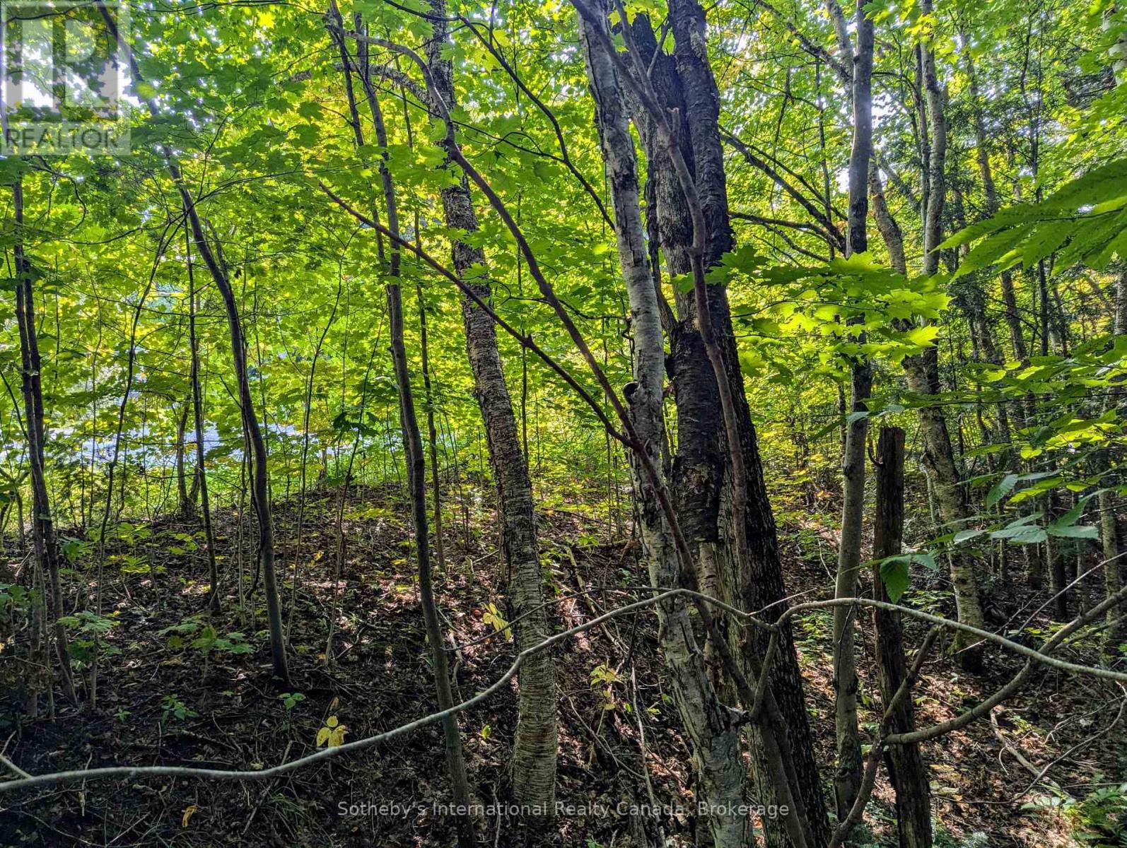 1031 Haven Road, Bracebridge, Ontario  P1L 1X1 - Photo 1 - X12289669