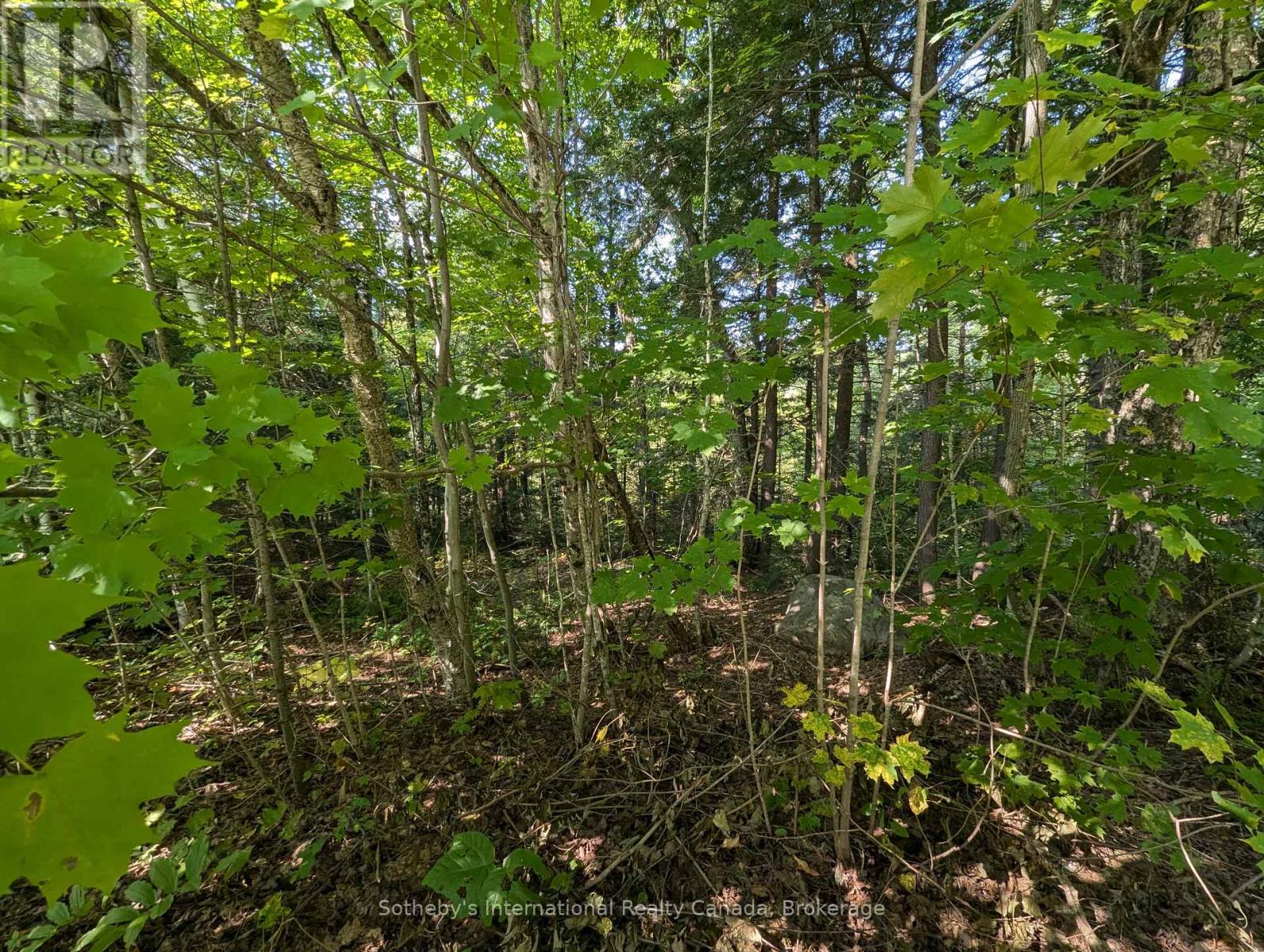 1031 Haven Road, Bracebridge, Ontario  P1L 1X1 - Photo 2 - X12289669