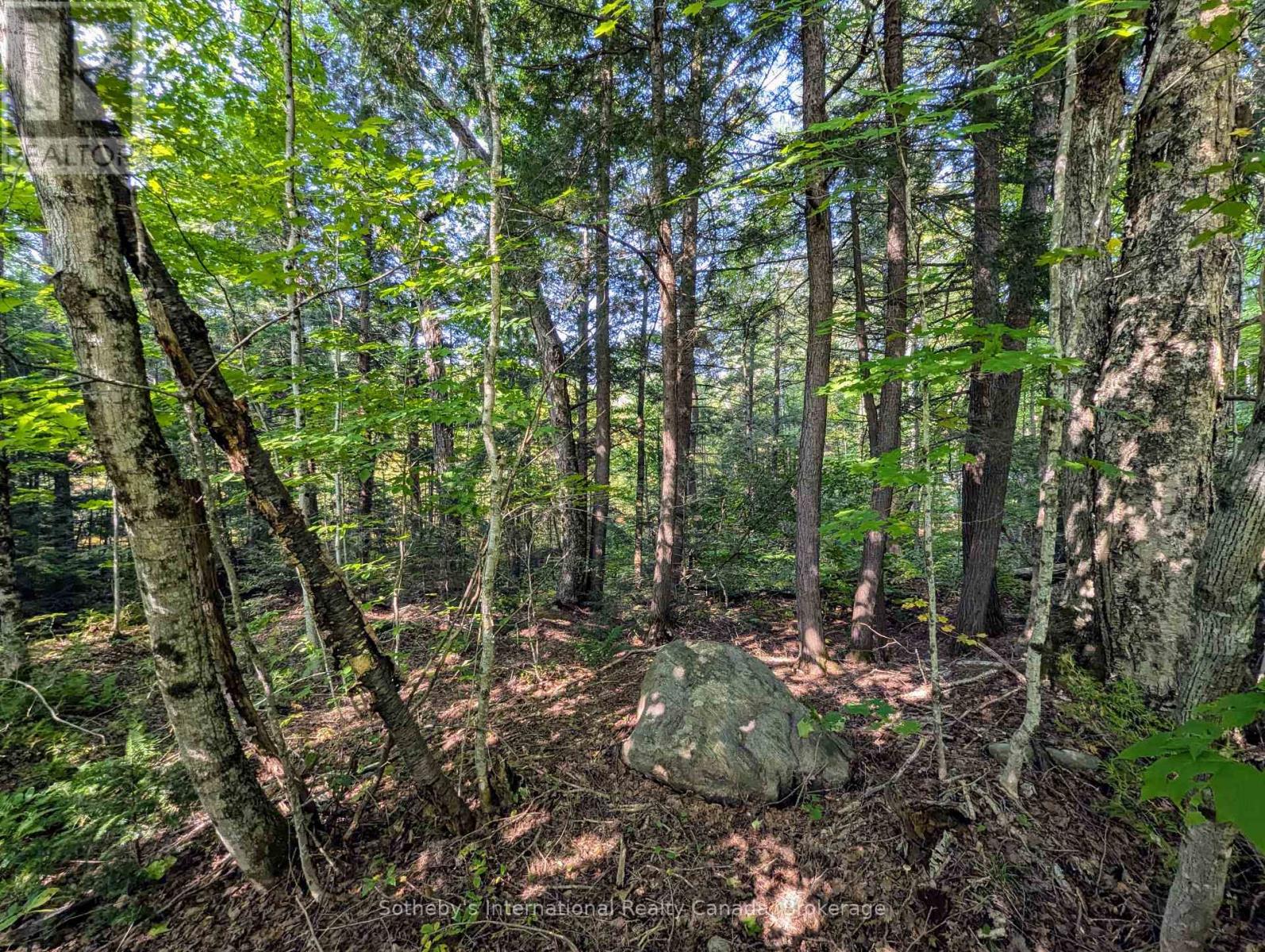 1031 Haven Road, Bracebridge, Ontario  P1L 1X1 - Photo 3 - X12289669