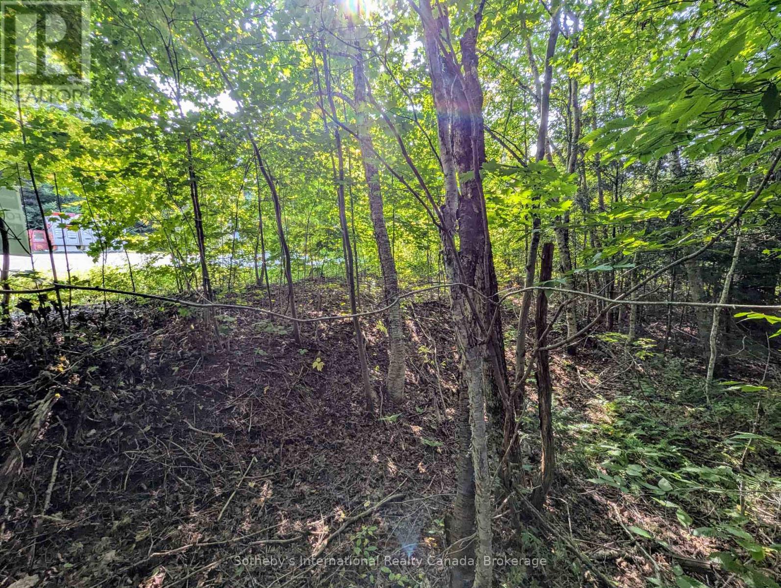 1031 Haven Road, Bracebridge, Ontario  P1L 1X1 - Photo 4 - X12289669