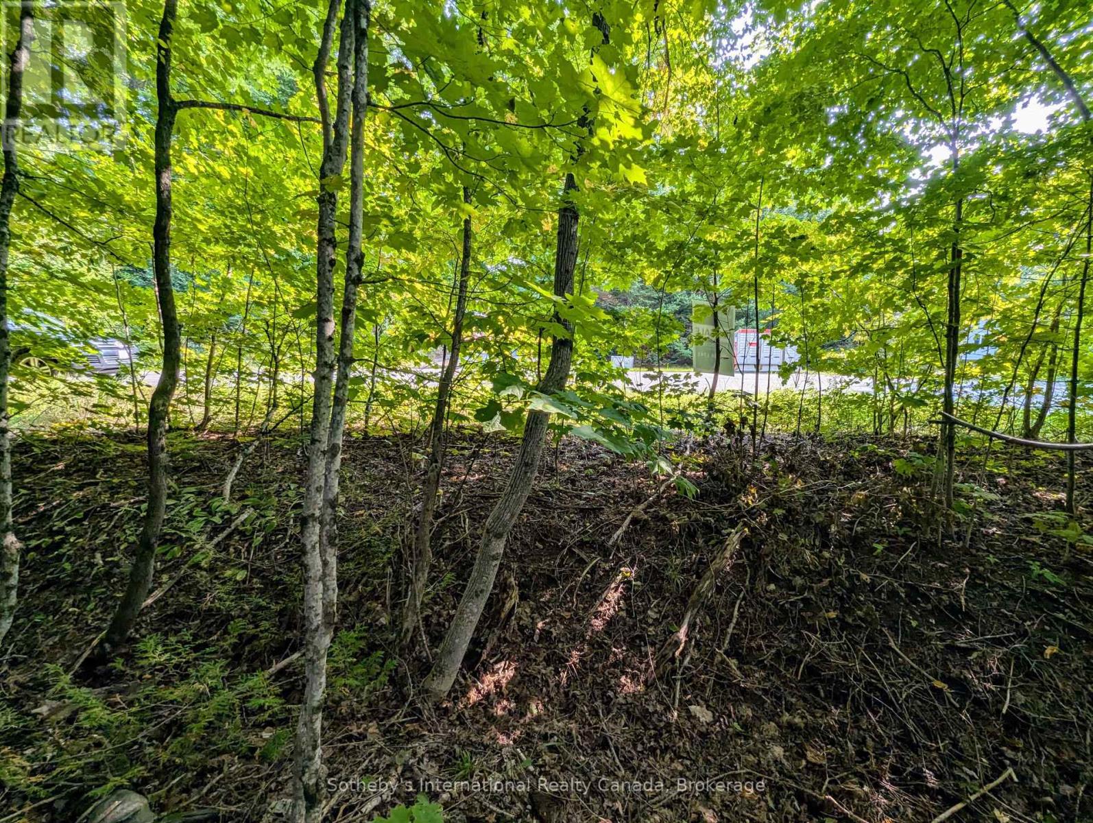 1031 Haven Road, Bracebridge, Ontario  P1L 1X1 - Photo 5 - X12289669