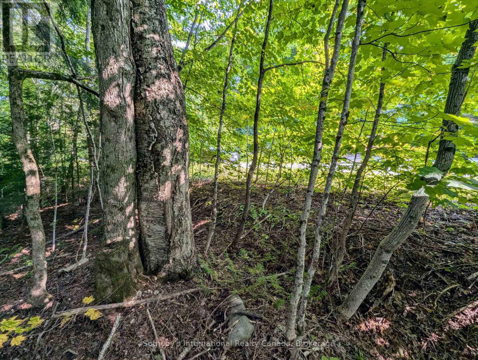 1031 Haven Road, Bracebridge, Ontario  P1L 1X1 - Photo 6 - X12289669