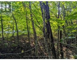 1031 HAVEN ROAD, Bracebridge, Ontario