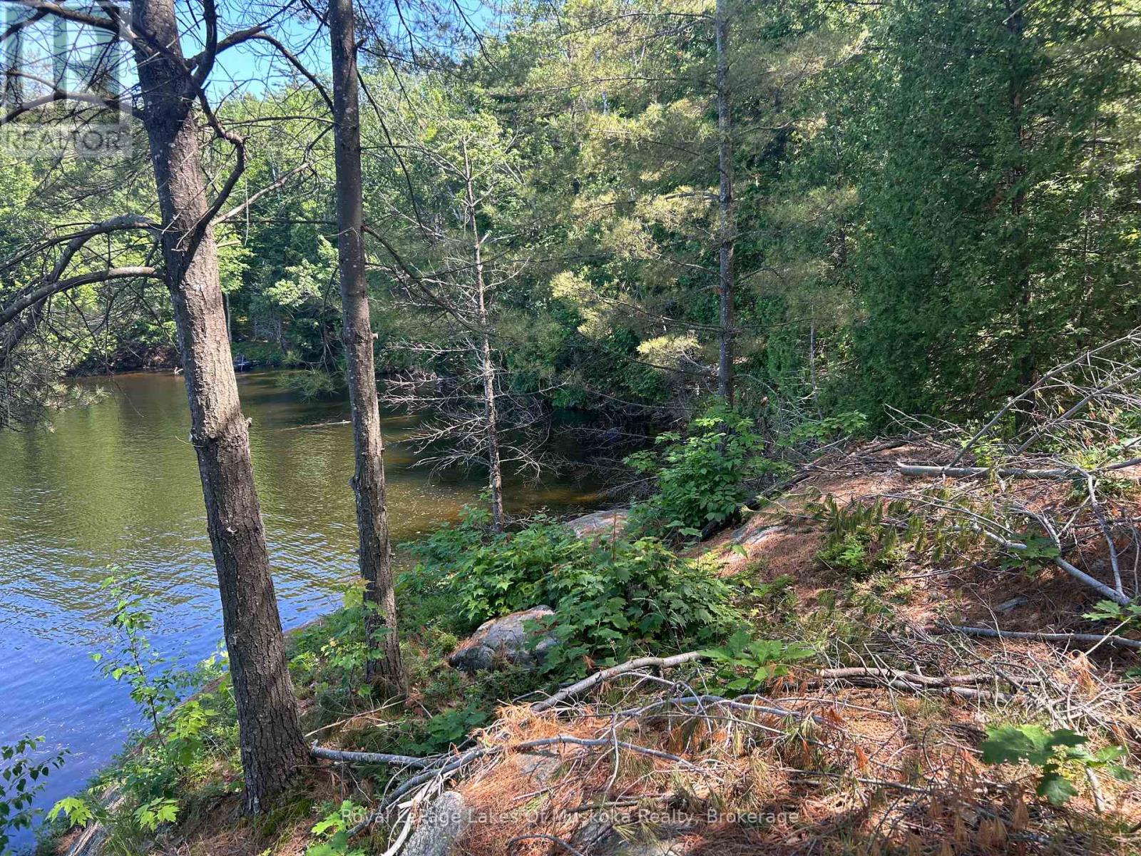 Lot 1 Bala Park Island, Muskoka Lakes, Ontario  P0B 1J0 - Photo 10 - X12293705