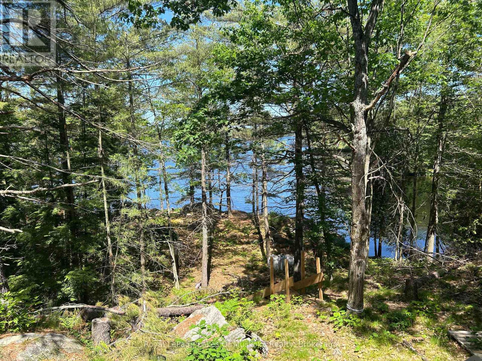 Lot 1 Bala Park Island, Muskoka Lakes, Ontario  P0B 1J0 - Photo 12 - X12293705
