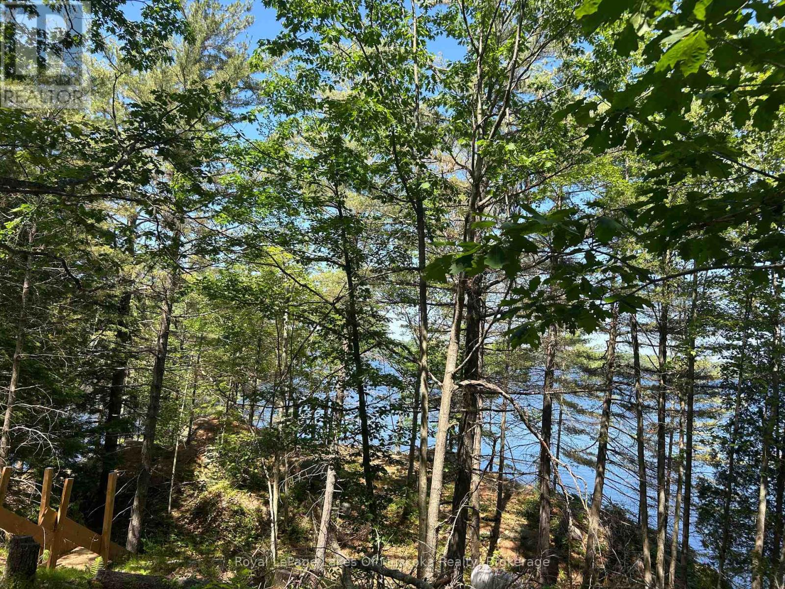 Lot 1 Bala Park Island, Muskoka Lakes, Ontario  P0B 1J0 - Photo 13 - X12293705