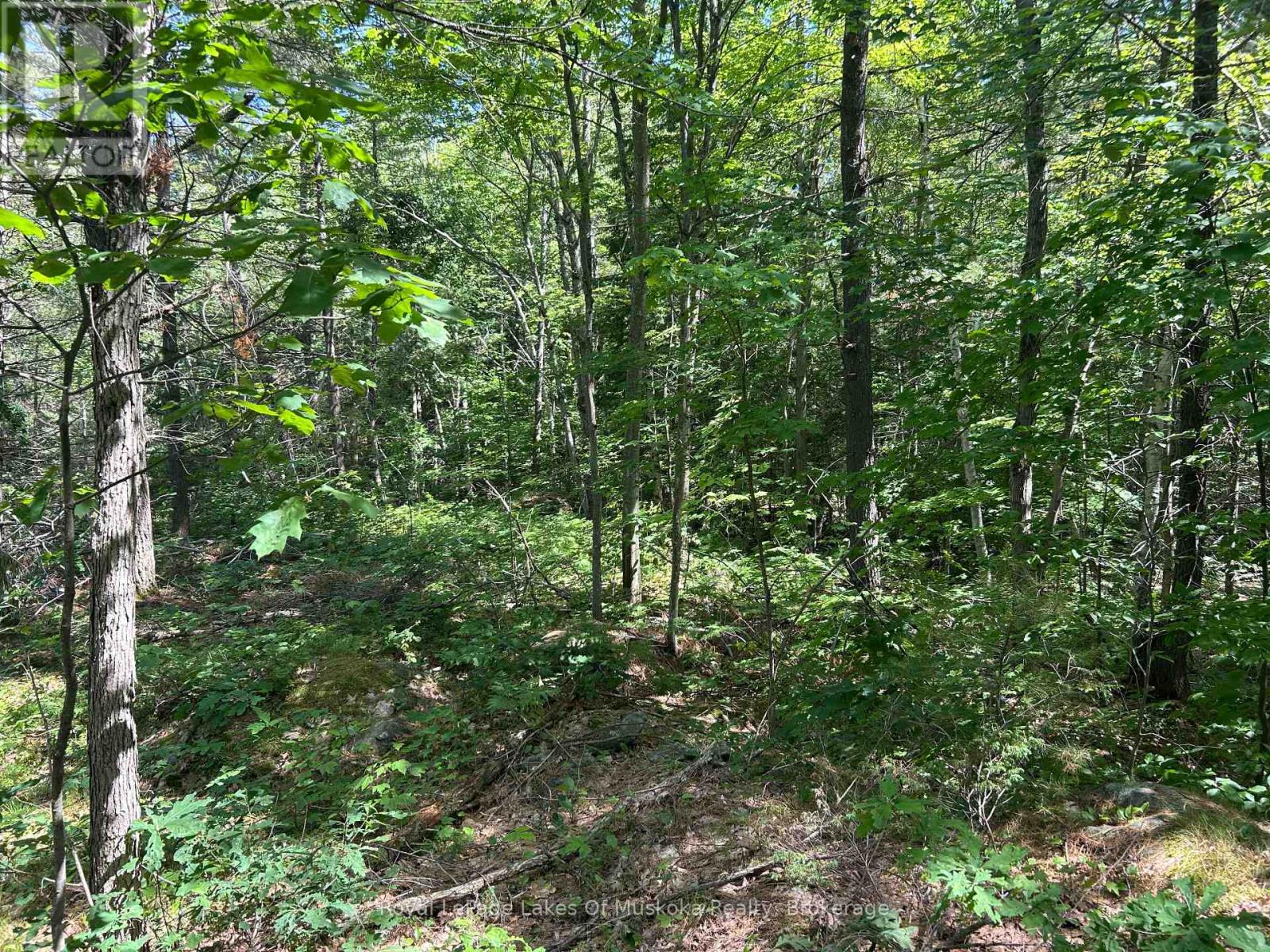 Lot 1 Bala Park Island, Muskoka Lakes, Ontario  P0B 1J0 - Photo 15 - X12293705