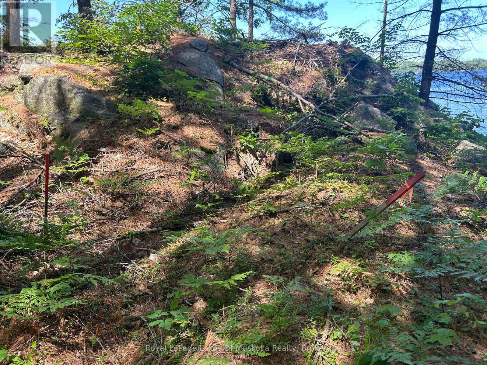 Lot 1 Bala Park Island, Muskoka Lakes, Ontario  P0B 1J0 - Photo 19 - X12293705