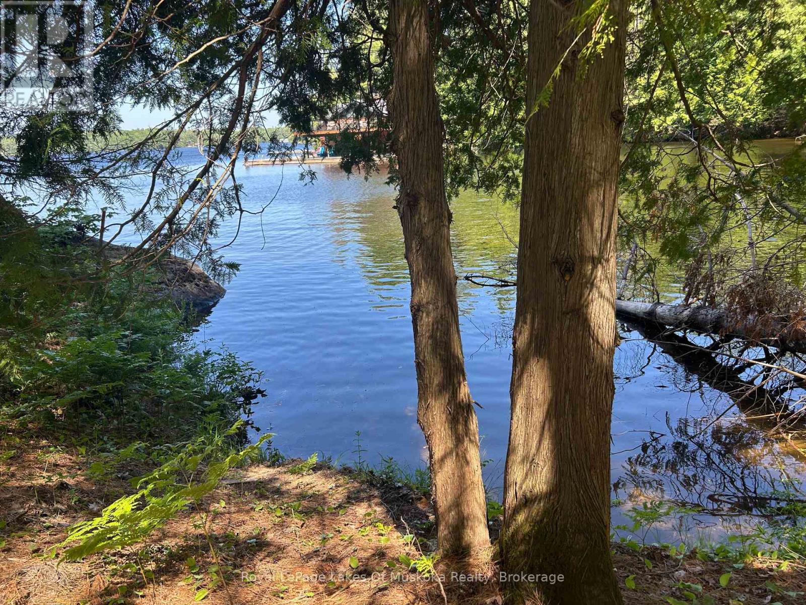 Lot 1 Bala Park Island, Muskoka Lakes, Ontario  P0B 1J0 - Photo 21 - X12293705