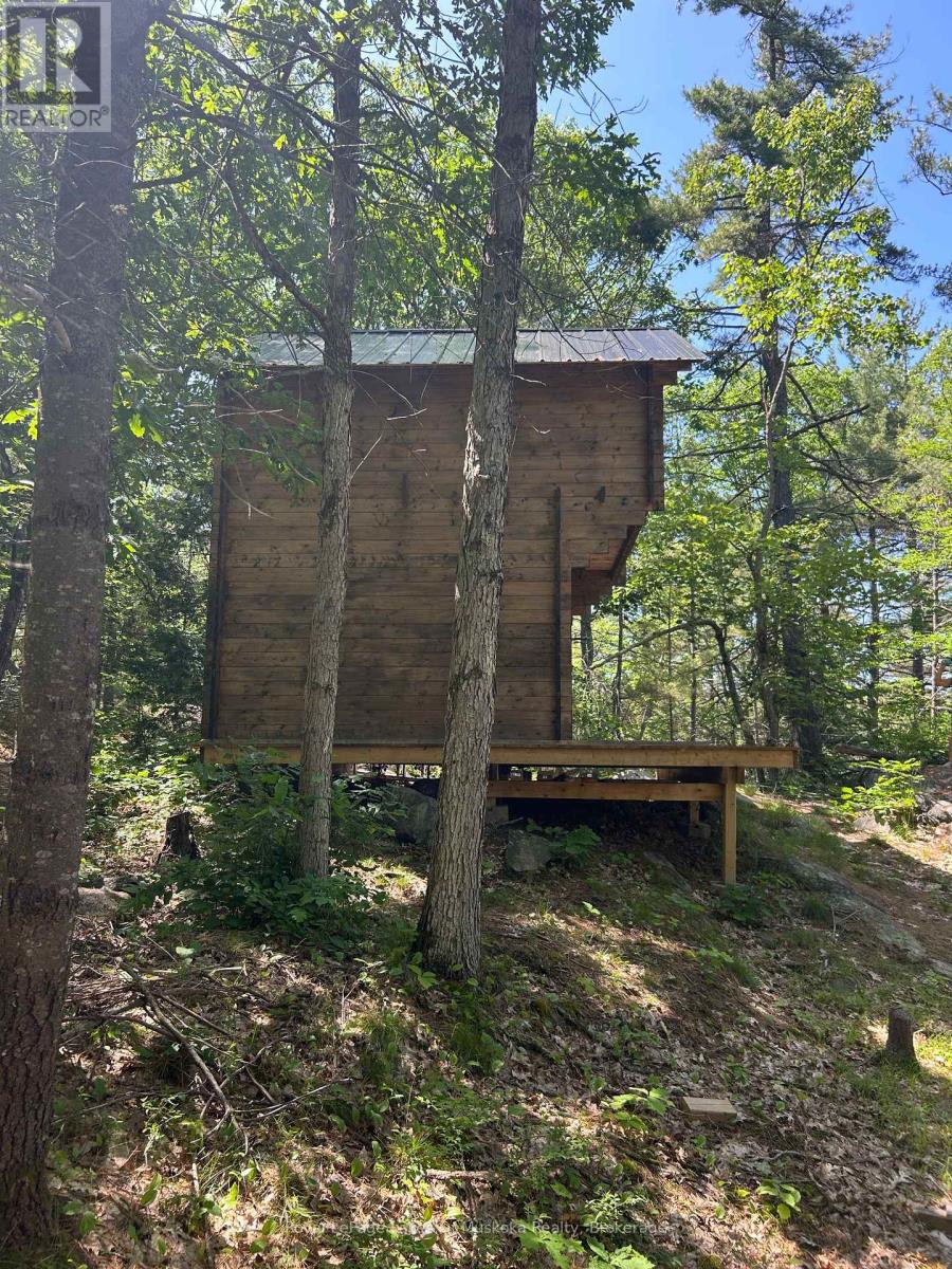 Lot 1 Bala Park Island, Muskoka Lakes, Ontario  P0B 1J0 - Photo 6 - X12293705