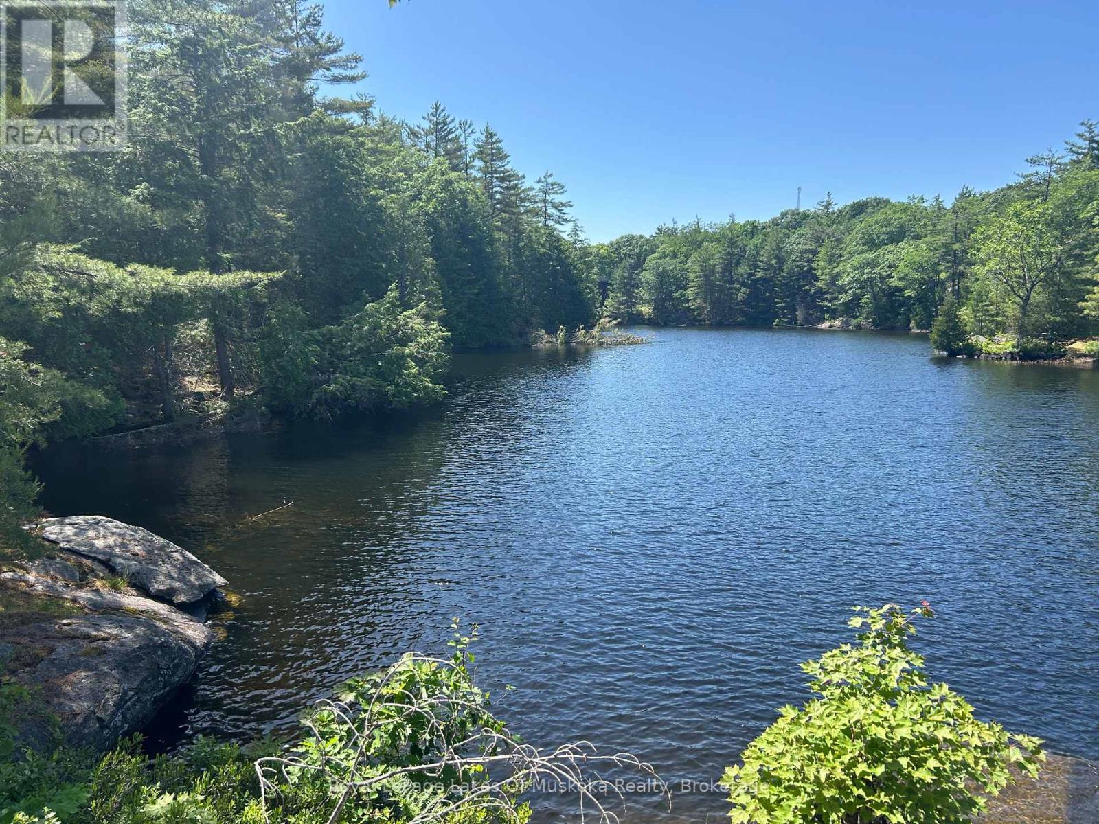 Lot 1 Bala Park Island, Muskoka Lakes, Ontario  P0B 1J0 - Photo 7 - X12293705