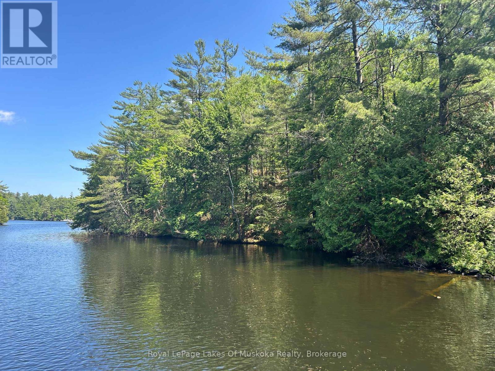 Lot 1 Bala Park Island, Muskoka Lakes, Ontario  P0B 1J0 - Photo 9 - X12293705