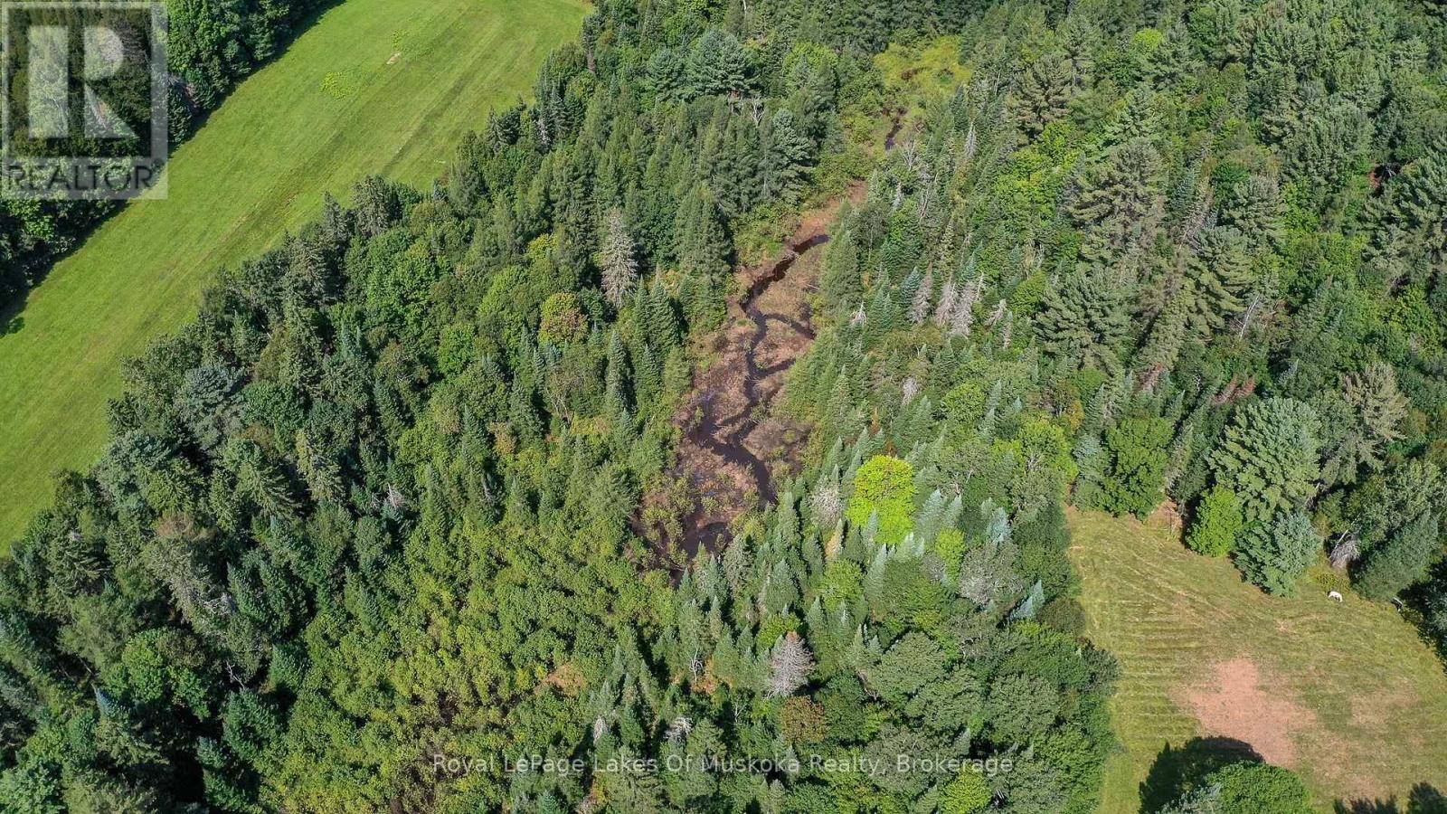 214 North Lancelot Road, Huntsville, Ontario  P0B 1M0 - Photo 37 - X12294693