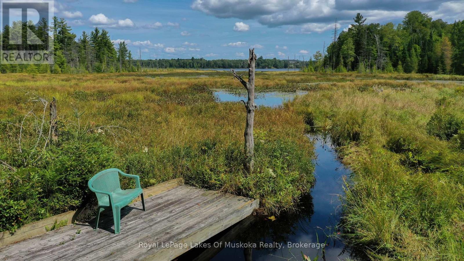 214 North Lancelot Road, Huntsville, Ontario  P0B 1M0 - Photo 38 - X12294693